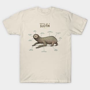 Anatomy of a Sloth T-Shirt